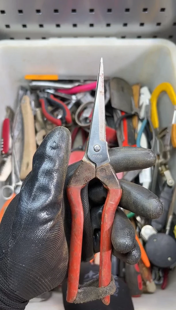 铁茶*C工具工具工具