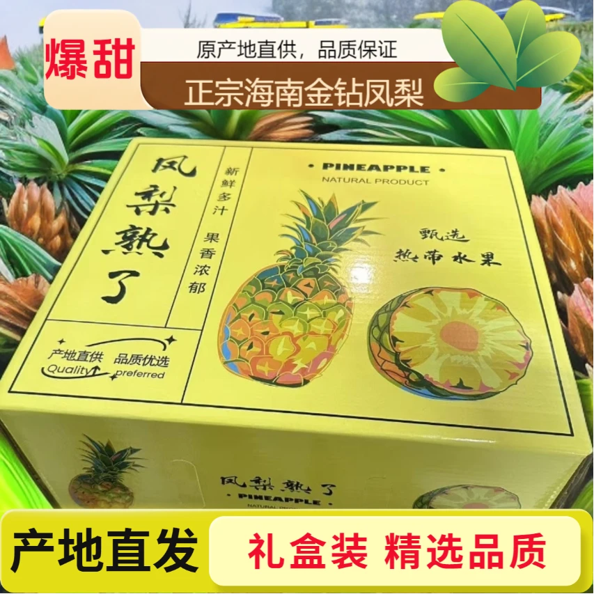【精品礼盒装】正宗海南金钻凤梨新鲜现摘应季水果孕妇手撕无眼菠萝