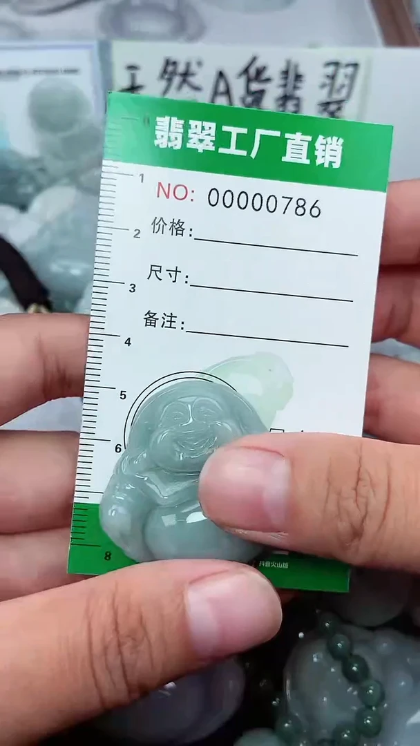 颈饰未镶嵌翡翠缅甸天然翡翠拍一发一0786