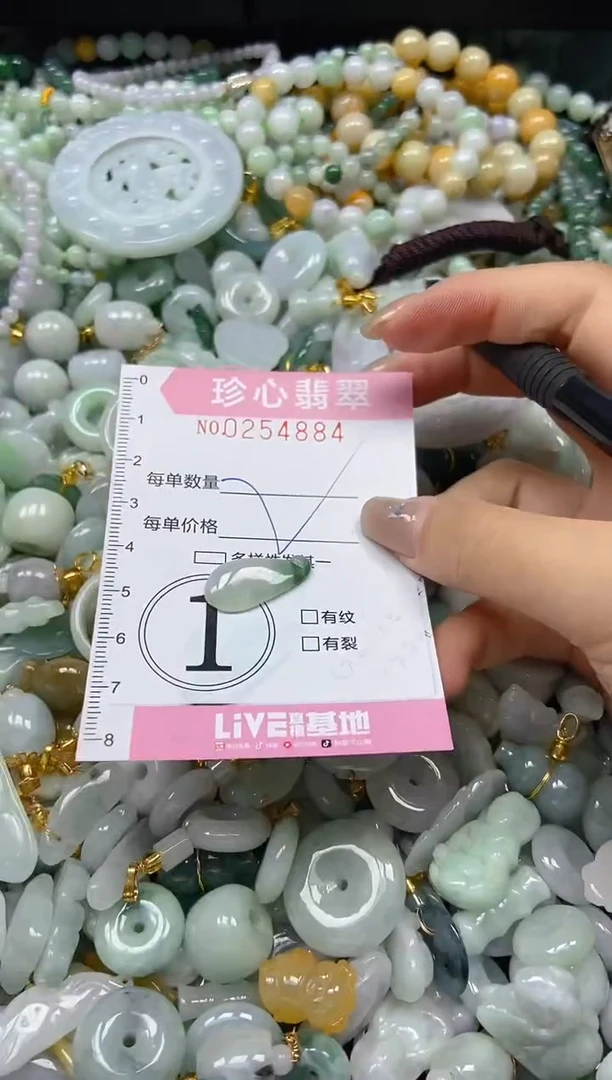 翡翠未镶嵌颈饰闪购0254884