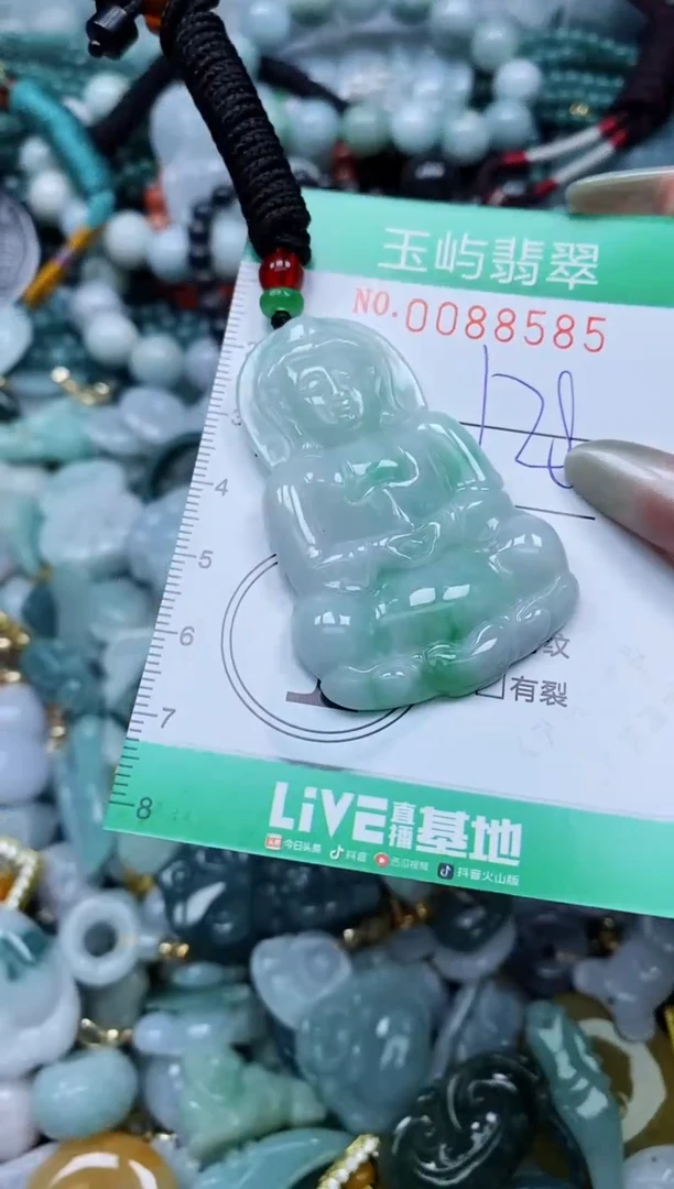 【闪购商品】翡翠颈饰未镶嵌闪购0088585