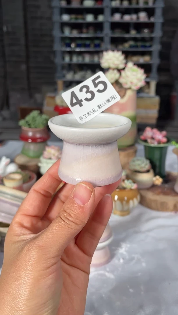 瓷片435小芳直播编号