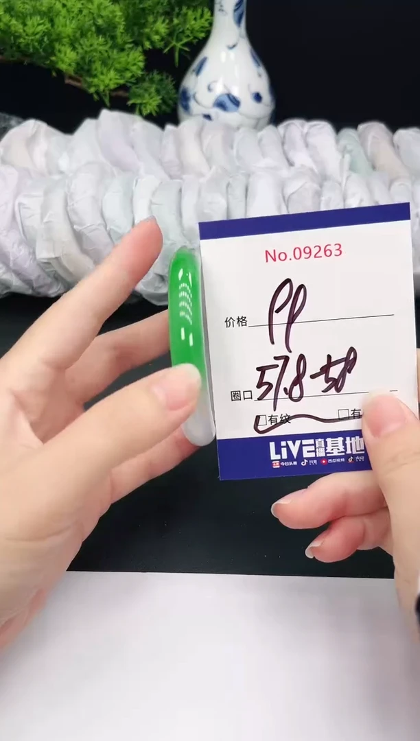 未镶嵌手镯翡翠9263