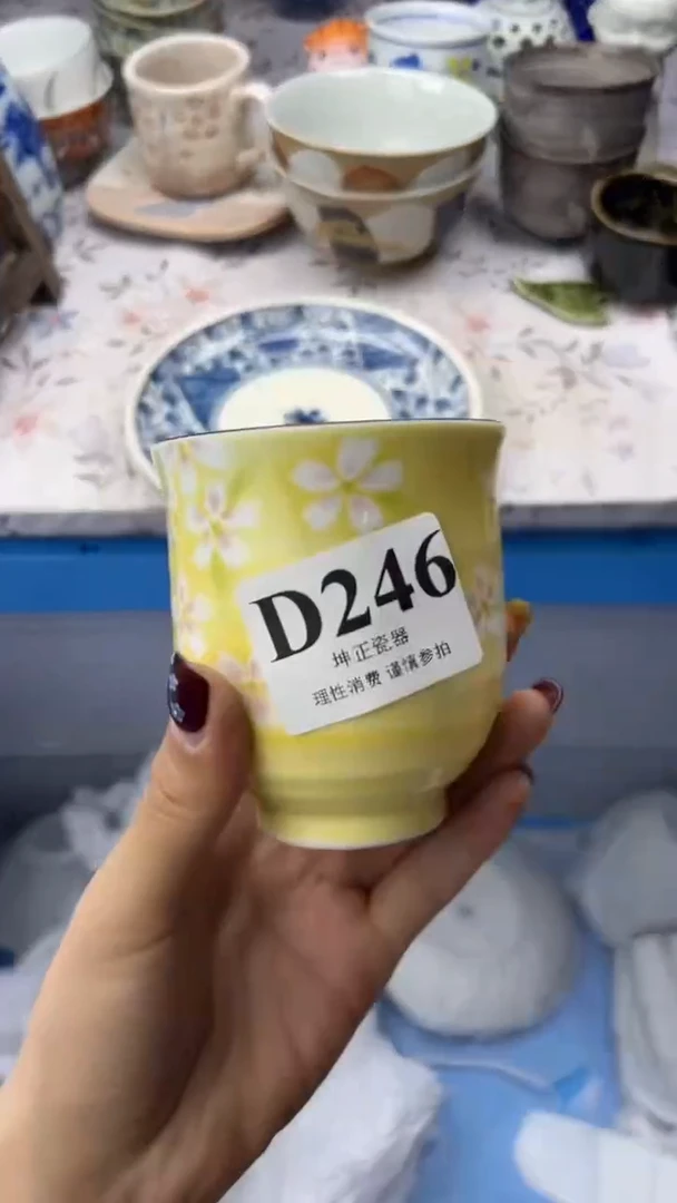 无          D246