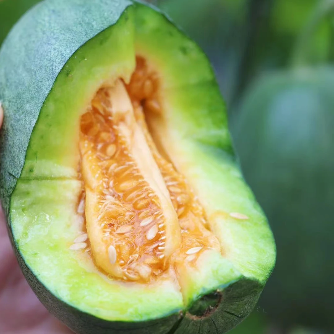 【篱笆优选】酥瓜果肉酥脆香甜皮薄肉厚籽软瓜瓤香甜多汁