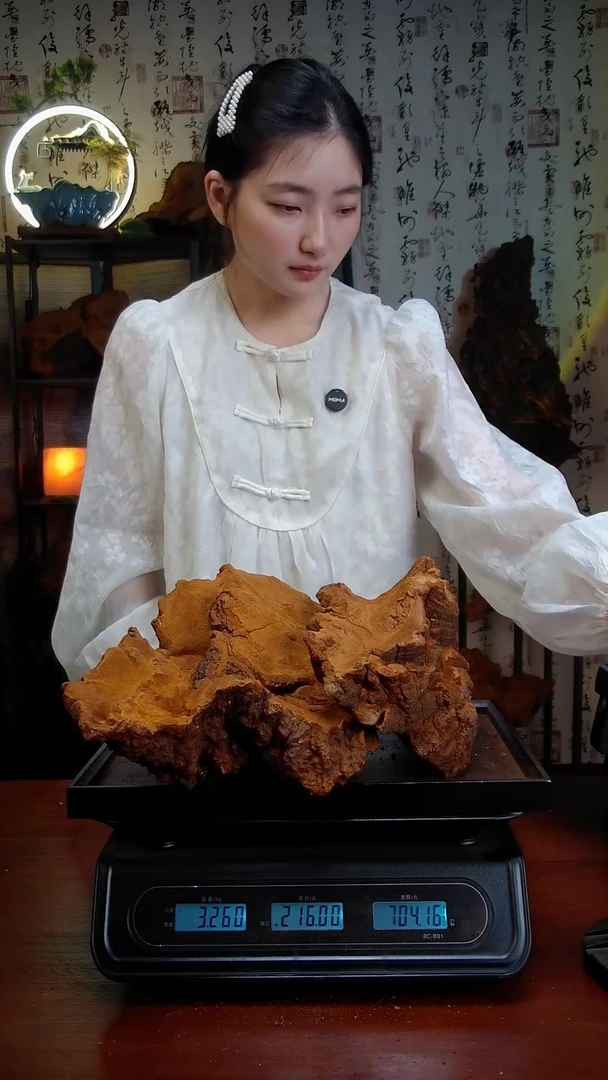松针层孔菌中国大陆【藏区】松树桑黄（6.52斤）50-60年份