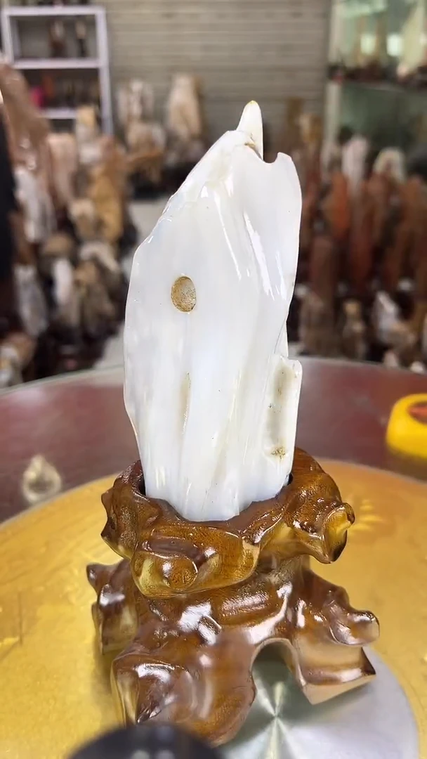 硅化玉珠宝奇石未镶嵌缅甸天然树化玉