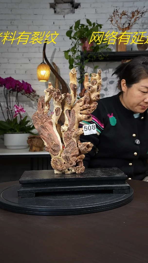 【闪购商品】木木艺云南根艺摆件