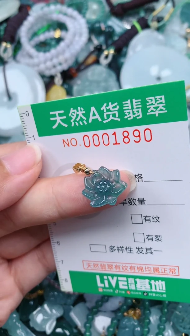 颈饰未镶嵌翡翠.0001890