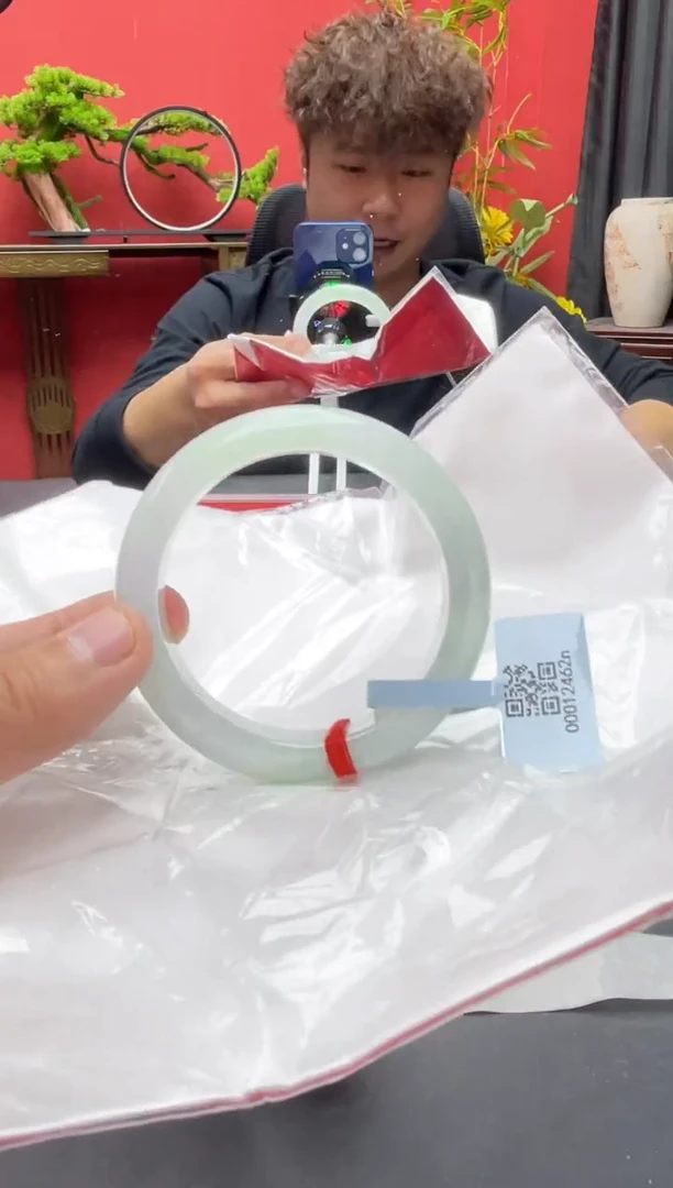 未镶嵌手镯翡翠5