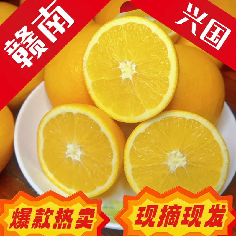 现摘江西赣南脐橙现摘现发新鲜产地直发鲜甜爆汁新鲜橙子