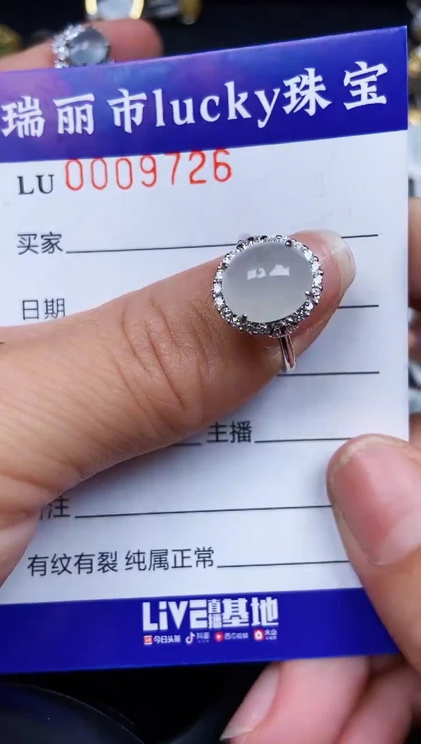 翡翠银S925镶嵌颈饰9726
