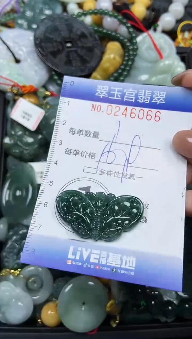 颈饰未镶嵌翡翠闪购C0246066