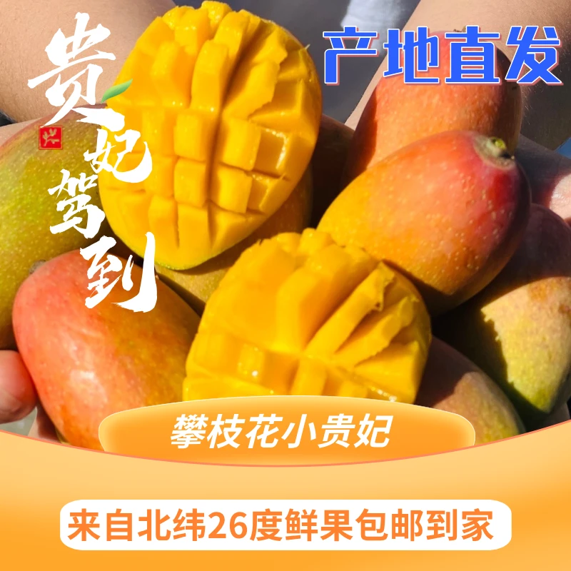 攀枝花小贵妃芒果 皮薄肉厚多汁果味浓郁新鲜采摘产地直发包邮