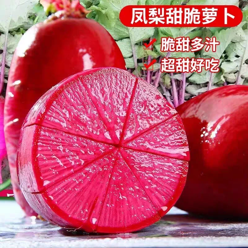 凤梨水果萝卜种子生吃甜脆满堂红心里美春秋夏季家庭水果萝卜籽