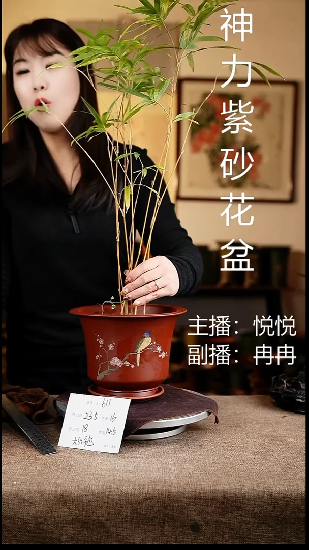 紫砂花盆花卉工艺611+z