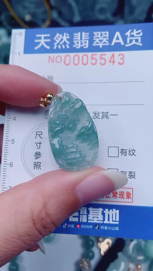 颈饰未镶嵌翡翠00005543