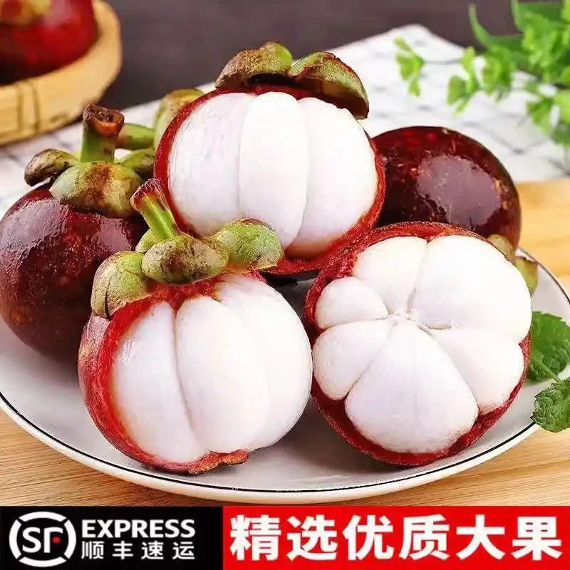 【顺丰包邮】泰国新鲜进口山竹 白嫩多汁老树新鲜当季水果 坏果包赔