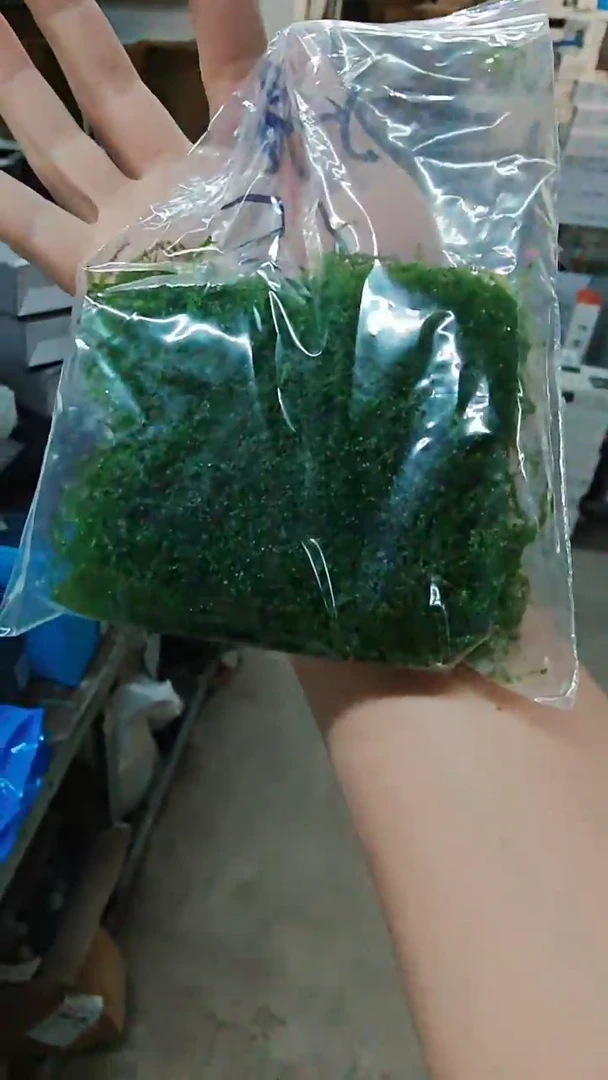 海星莫斯水晶莫斯4片装