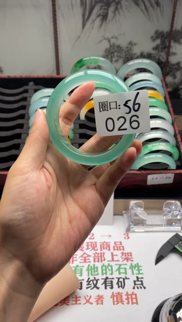 【闪购商品】026专拍链接一物一拍以截图为准