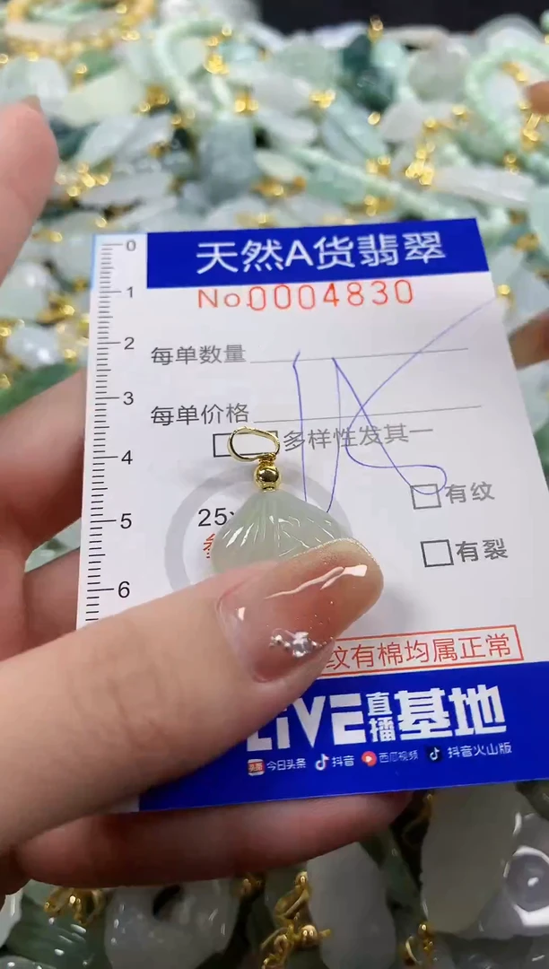 颈饰未镶嵌翡翠天然A货翡翠