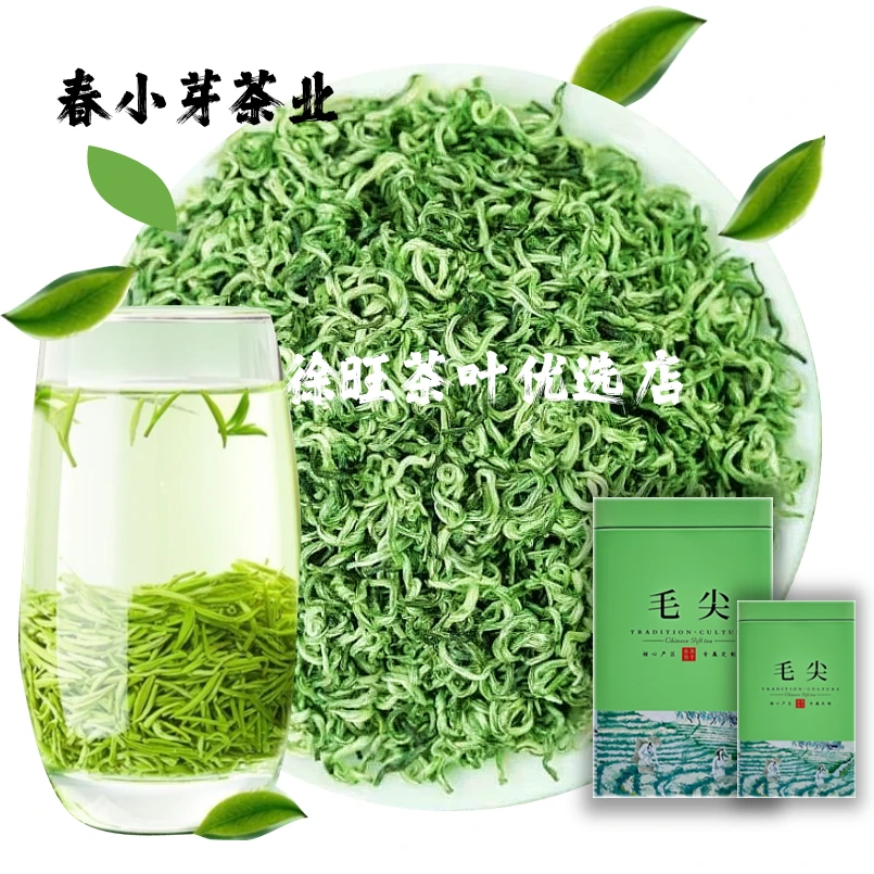 新茶茶叶绿茶毛尖浓香高山深山中手工采摘绿茶茶叶嫩芽嫩叶优选茶