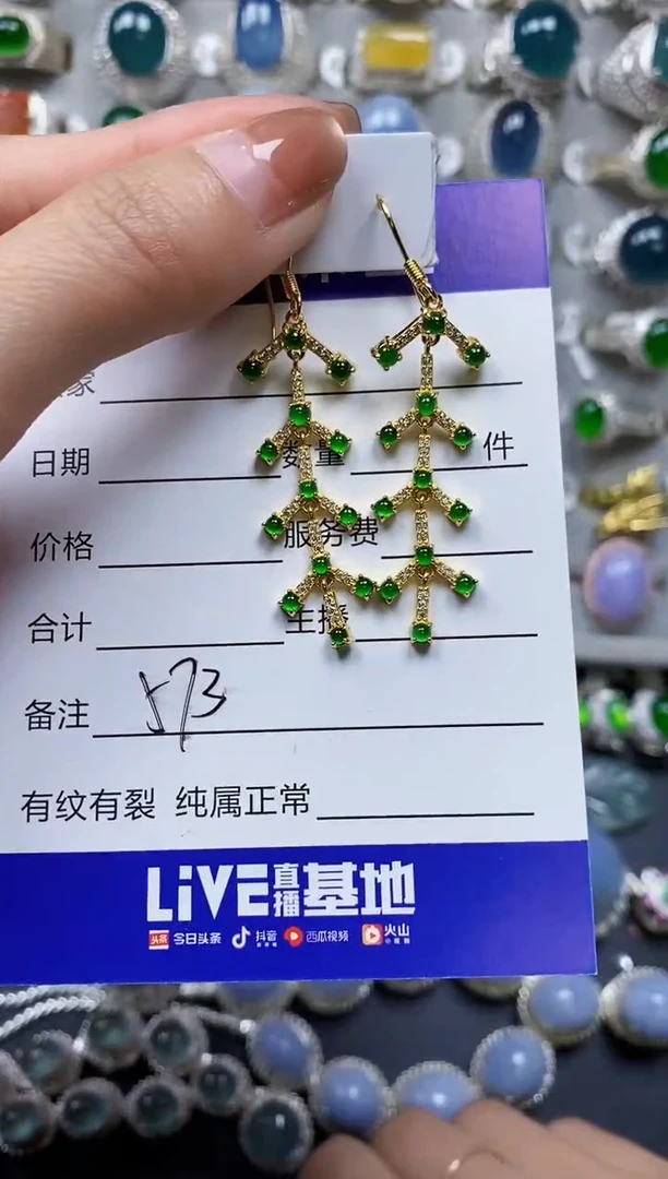 【闪购商品】翡翠耳饰银S925镶嵌0573