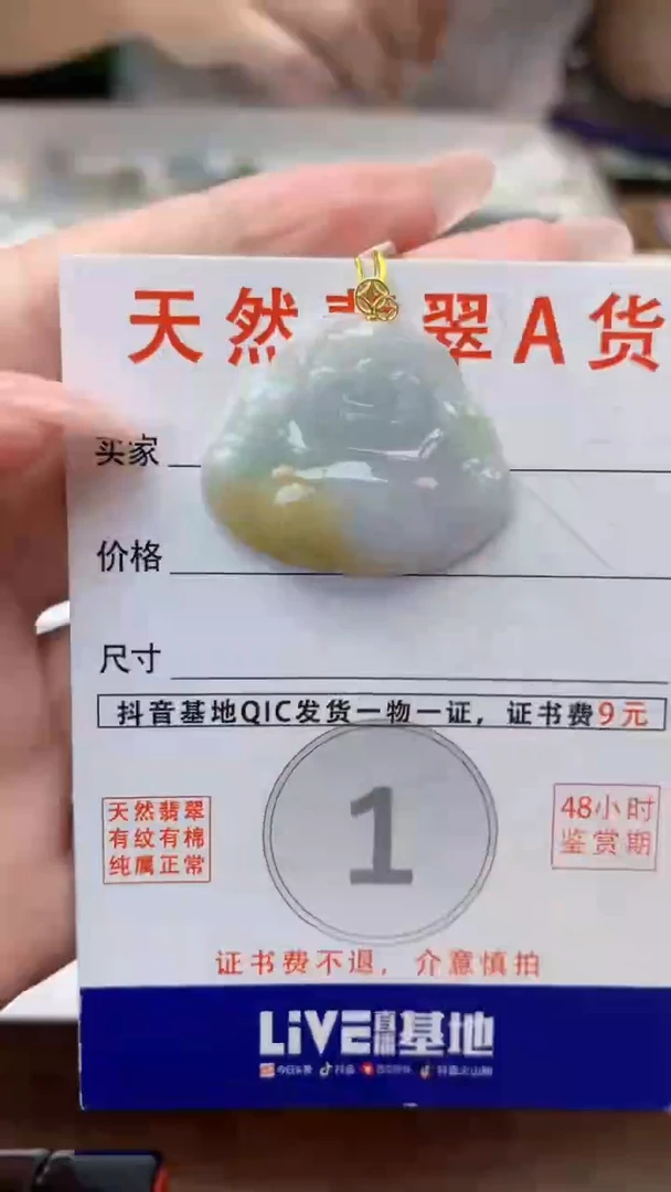 颈饰18K金镶嵌翡翠天然A货翡翠挂件