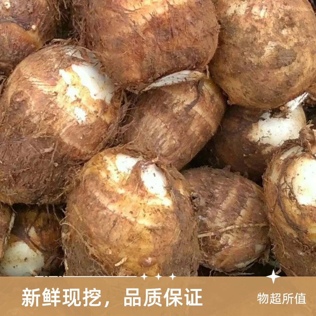 芋头新鲜香芋软糯贵州高原现挖现发毛芋头新鲜纸箱包装发货包邮