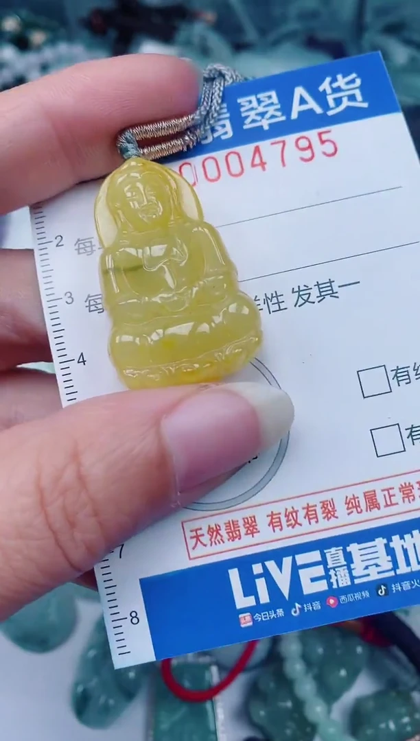 颈饰未镶嵌翡翠00004795