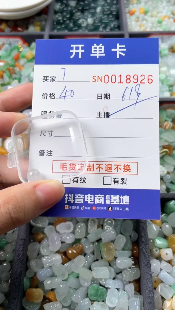翡翠未镶嵌颈饰⁷00018926