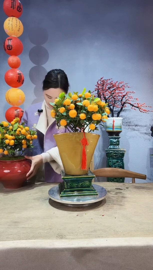 【闪购商品】盆景年桔