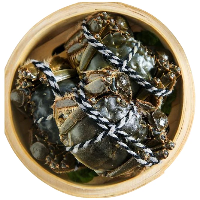 【活蟹】大闸蟹3.0-2.7两母蟹 拍8只送2只 到手10只【死蟹包赔】 顺丰京东空运 江苏产地直发