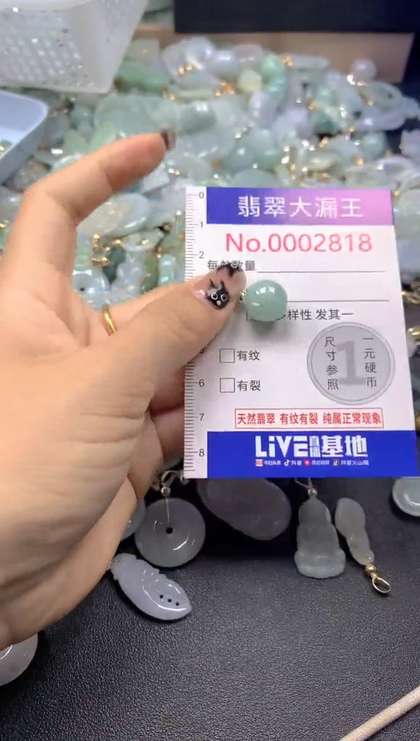 颈饰未镶嵌翡翠2818