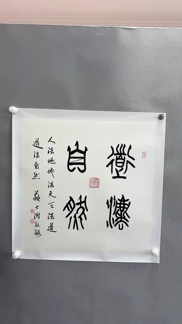 【闪购商品】书法雅艺典藏文化书法
