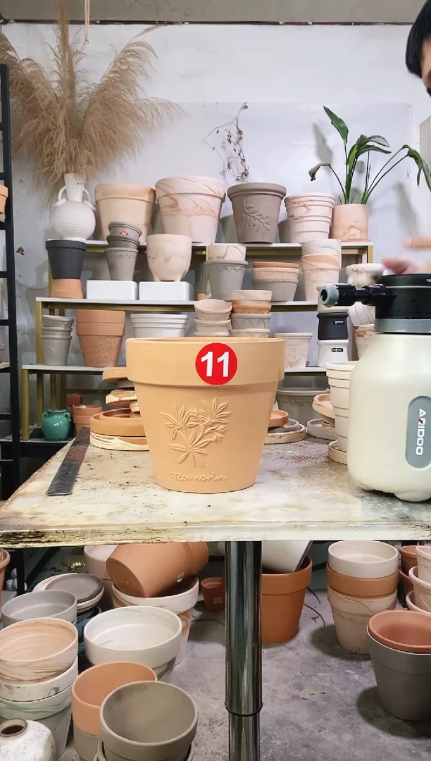 20*19红陶国际香草 1盆无托