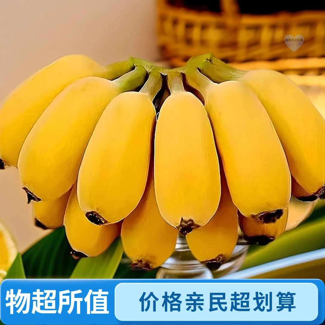 【正宗苹果蕉】广东当季苹果粉蕉粉糯香甜新鲜水果香蕉整箱不泡药水