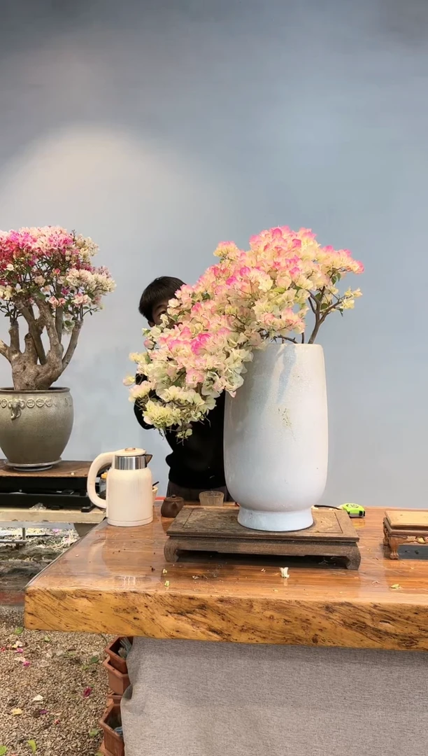 【闪购商品】AA948