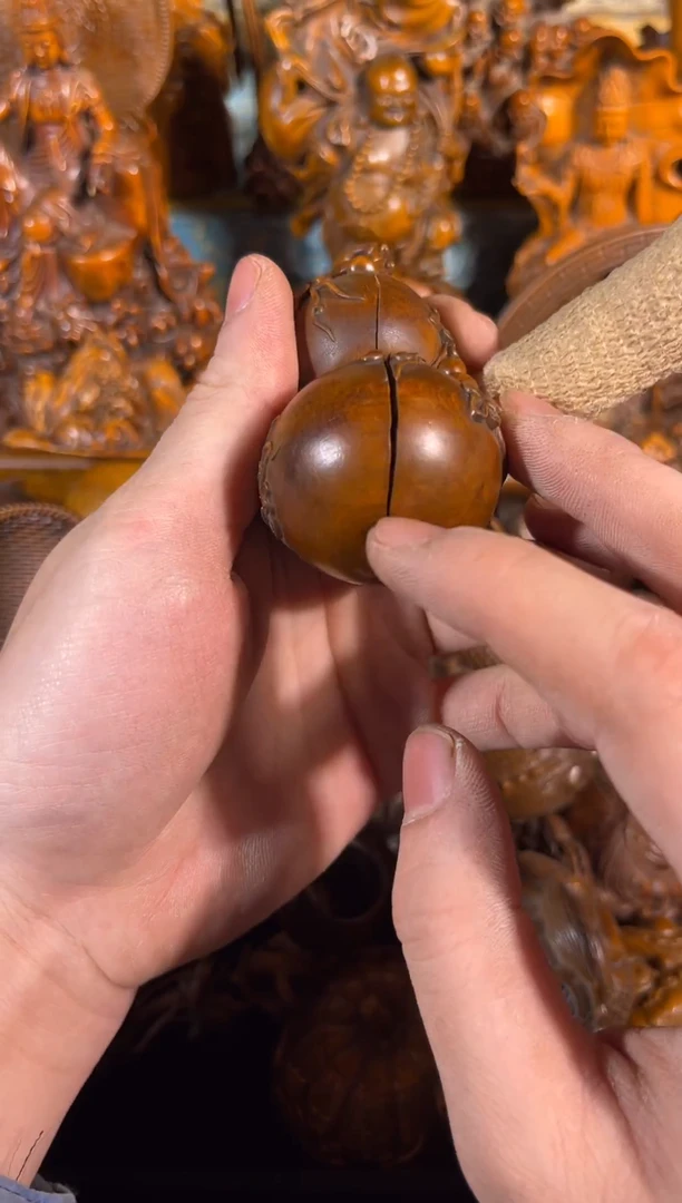 黄杨木11111111111111