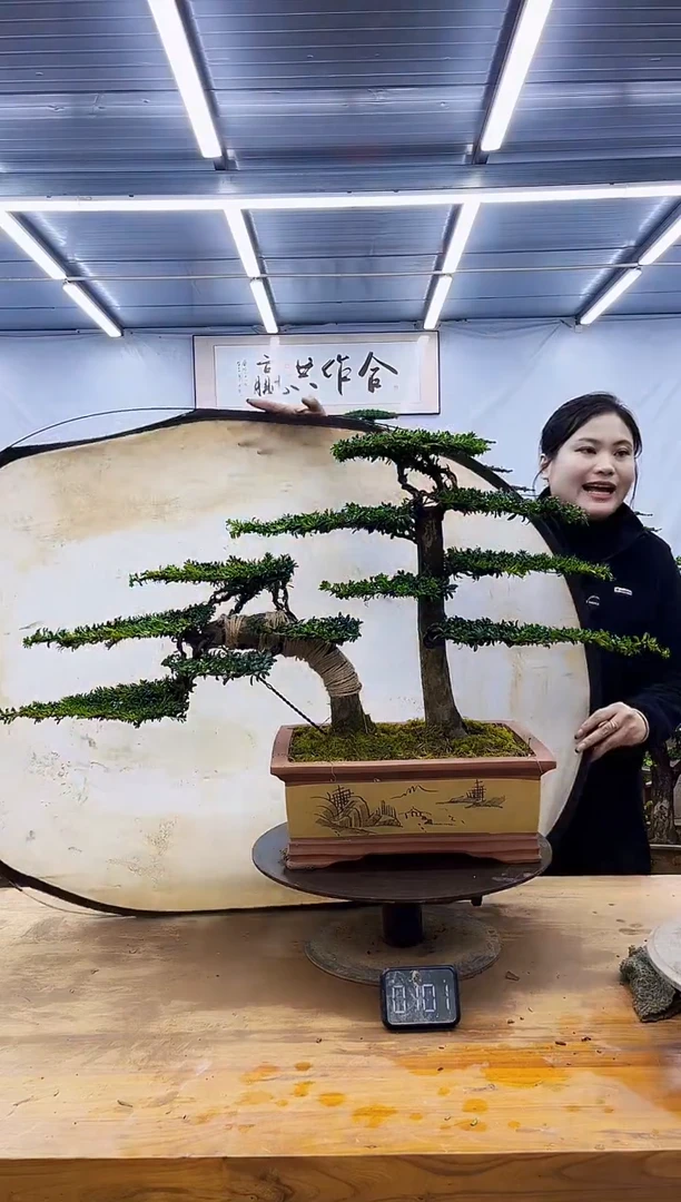 无花朵一物一拍，所见即所得