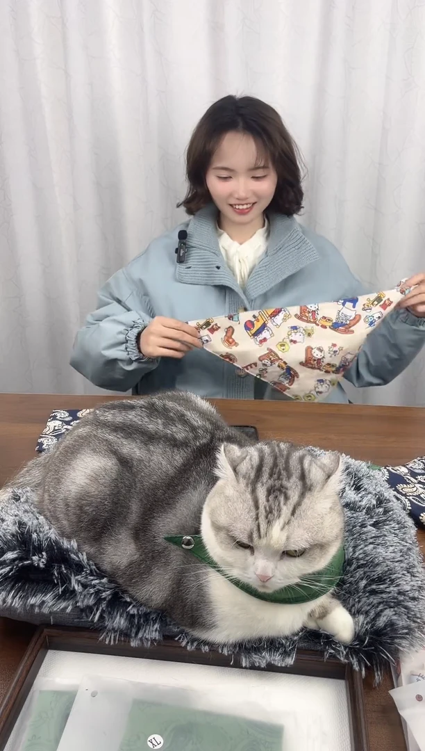 宠物猫狗围兜围巾三角围脖口水狗狗口水巾拍照饰品雪纳瑞等小型犬