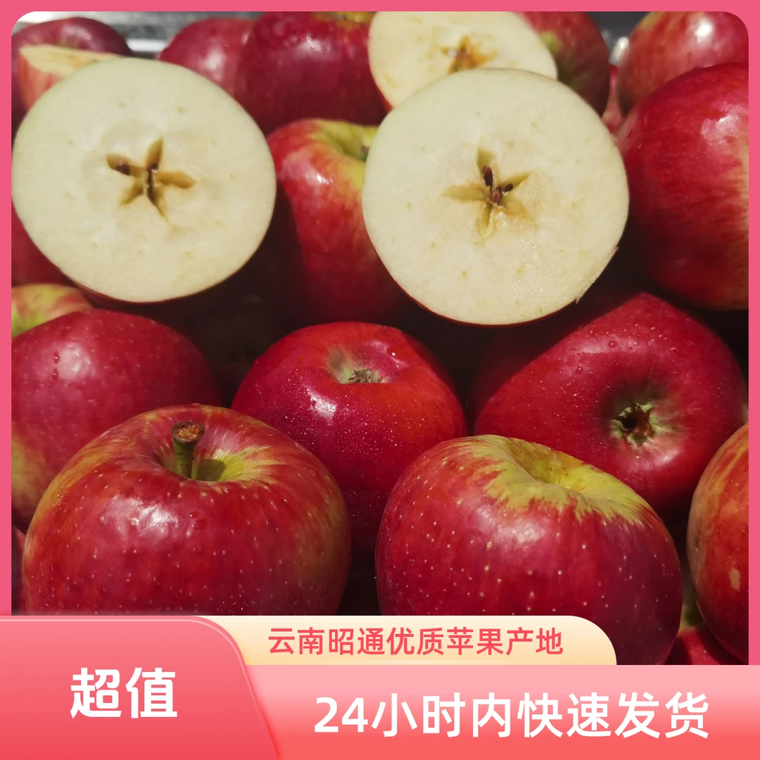 正宗昭通华硕丑苹果现摘现发