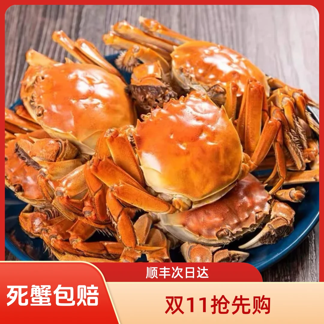 【活蟹】【公蟹+母蟹】盘锦河蟹1.7-1.4两/只公蟹10只送1.5-1.2两/只母蟹10只 到手20只 【顺丰明天到】死蟹按只赔