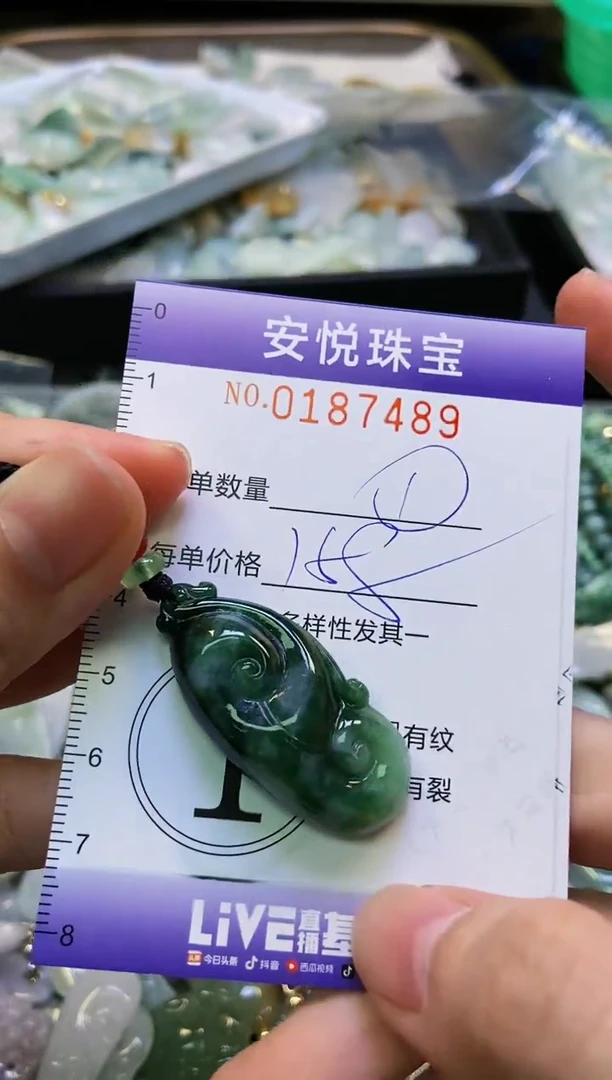 翡翠未镶嵌颈饰闪购0187489