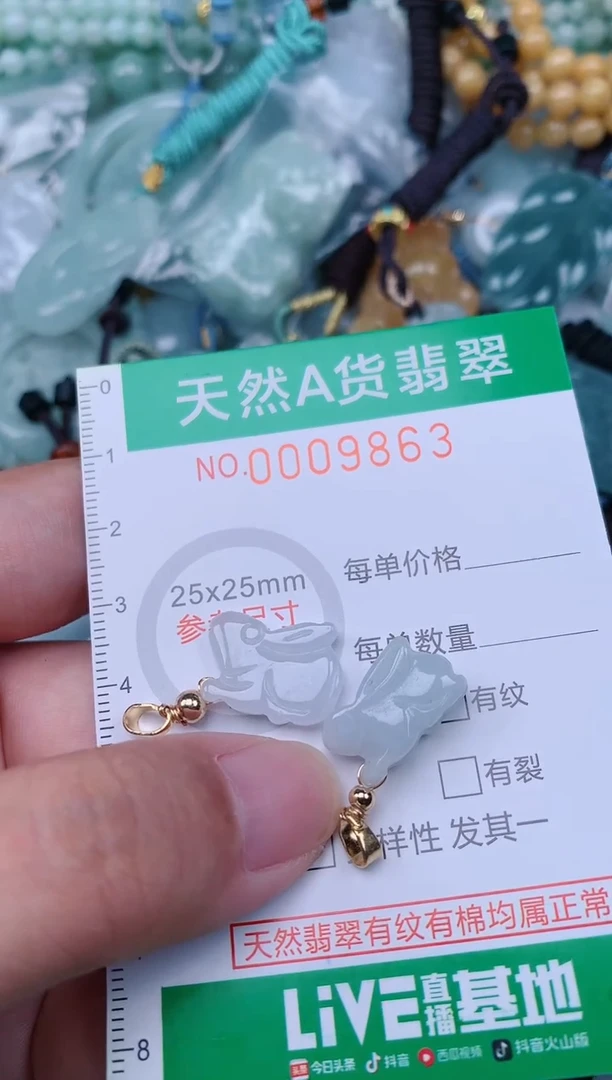 翡翠未镶嵌颈饰.0009863