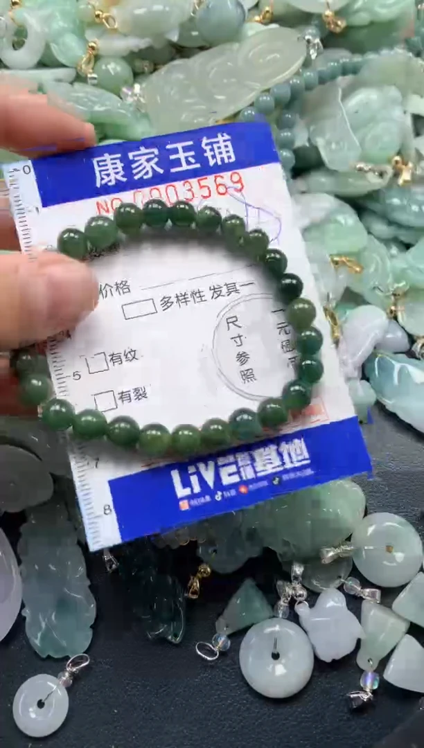 颈饰未镶嵌翡翠3569