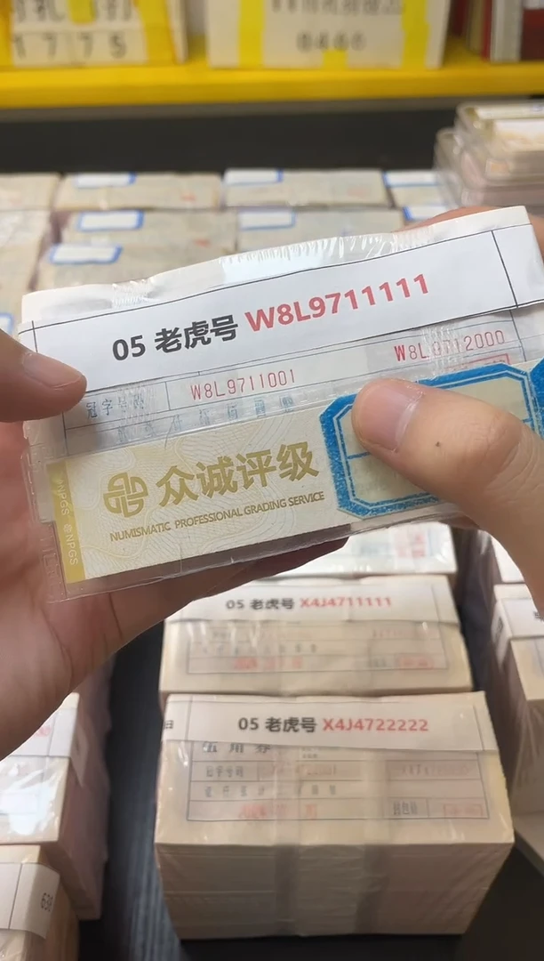M 05 老虎号 W8L9711111