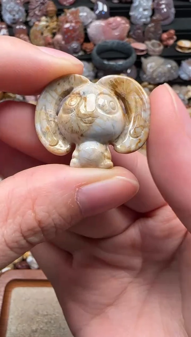 颈饰未镶嵌硅化珊瑚（珊瑚玉）012