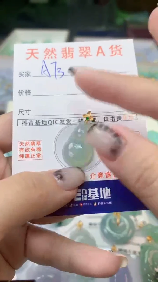 颈饰未镶嵌翡翠天然A货翡翠挂件