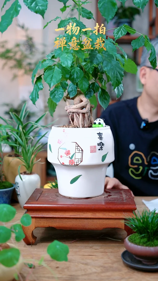 完全开放O***?幸福树661